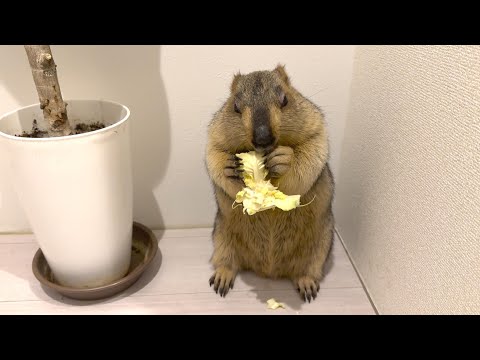 My precious family has grown!