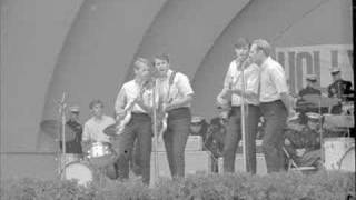 Beach Boys-(Wipeout)