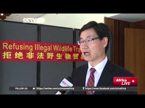 China Works Jointly With African Countries to Combat Illegal Ivory Trade