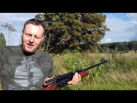 Schußtest Luftgewehr Gamo G-1200 !!