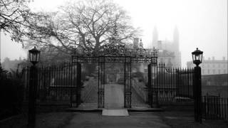 FOREST OF SOULS(france)-the time of broken gates