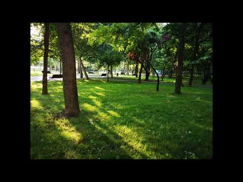 nvmnd ❌ Nimeni Altu' - Alte Vremuri