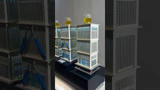 Base isolators and viscous dampers are seismic technologies that reduce earthquake damages