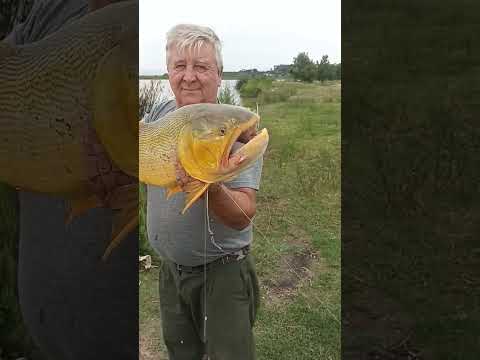 un día de pesca en baradero bs as