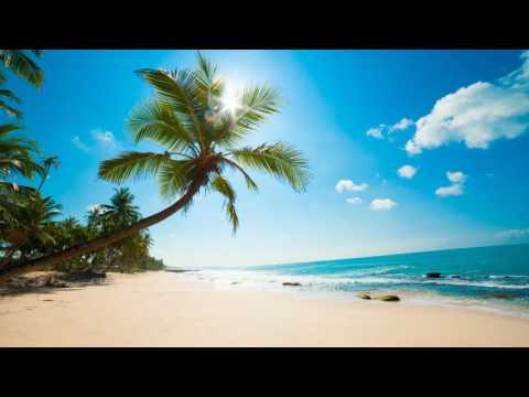 3 HOURS Lounge Chillout Ambient music Summer 2016 | Cocktail Miami | Wonderful Relaxing music