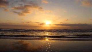 UN PICCOLO WALZER FATTO IN MIDI DA ME.wmv Il Libero Professionista