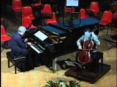 Piovani & Piovano - Orchestra d'Archi Fenaroli - EMF Lanciano 2012.avi