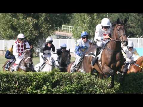 Ladislav Mrkvička-  Velká pardubická