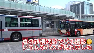夏の新横浜駅でバス撮影🤗いろんなバスが見れました