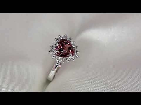 Recent-realizations-with-Garnets-1