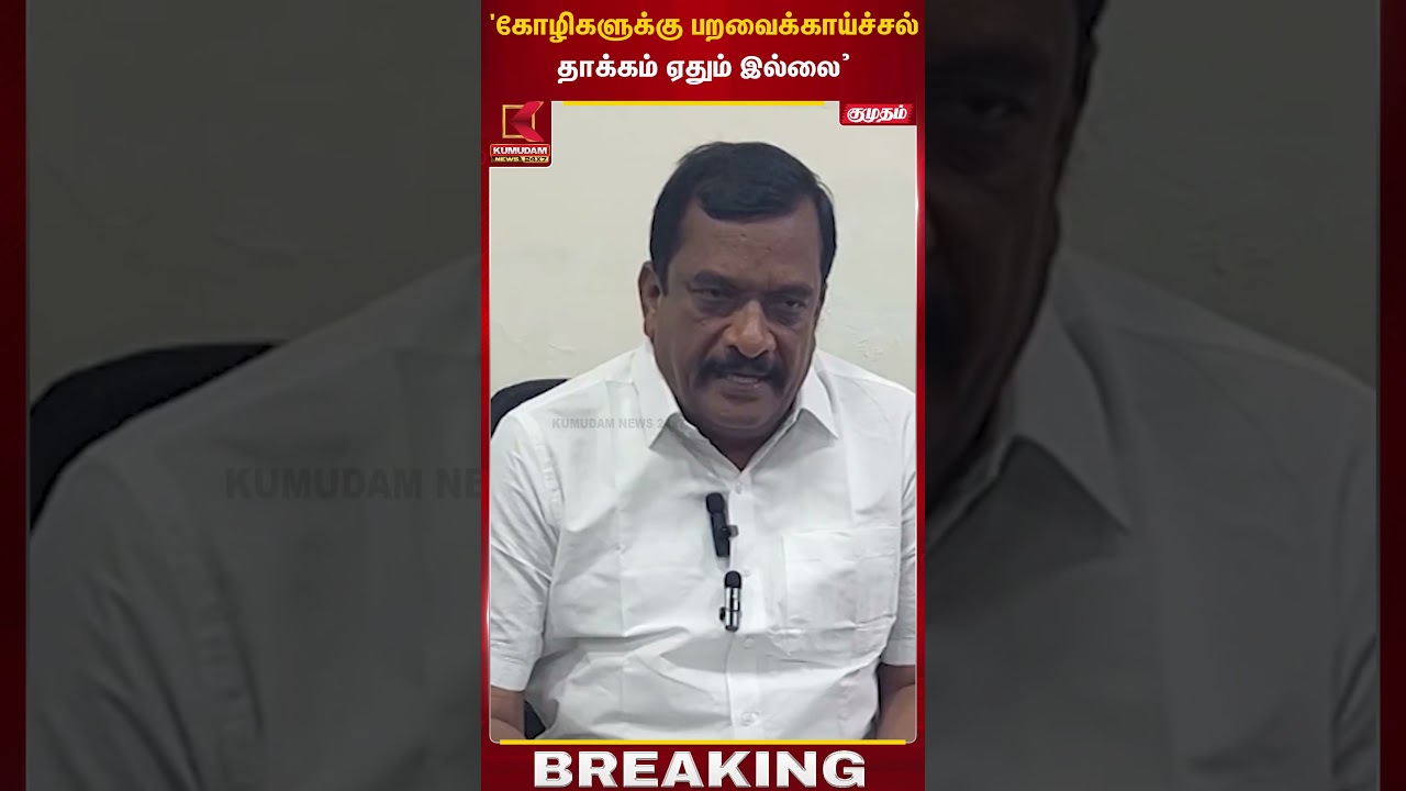 'கோழிகளுக்கு பறவைக்காய்ச்சல் தாக்கம் ஏதும் இல்லை’ | Birds Flu | Kumudam News