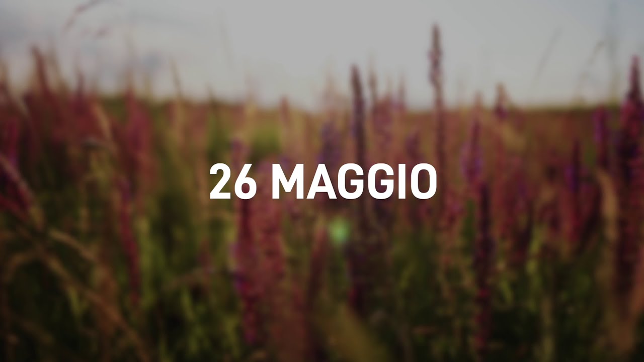 26 Maggio 2025 | Meditazione Parole di Vita