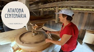 Miniatura do vídeo