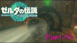 間違えて大砲に入ろうとしてたよね。-ゼルダの伝説 Tears of the Kingdom -part26-