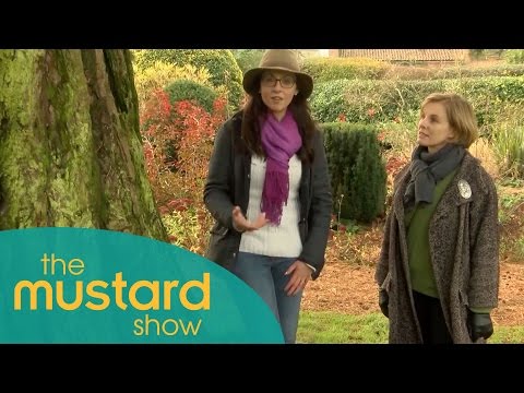 Ellen Mary | The Beautiful Bolwick Hall Gardens