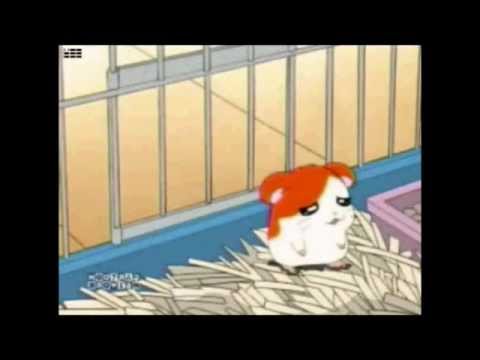 Kimiko in Wonderland Part 15- The Mad Tea Party (Part 2; The Horse Arrives Again)