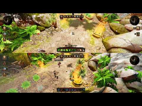 Divinity: Original Sin 1 - 3 Players Splitscreen - Nucleuscoop
