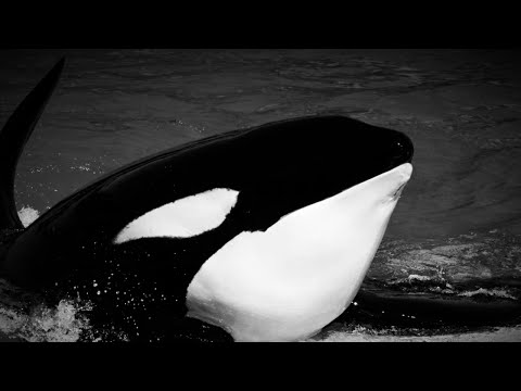 Goodbye, Nakai. ❤️