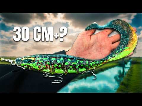 48 hours with XXL lures in a tiny water – we didn’t expect this. 🐊