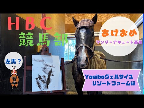 [HBC Horse Racing Club TV] Miracle! What the \artist\ of Wonder Acute wrote...