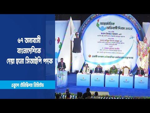 অর্থনীতিতে অবদান রাখায় ৬৭ অনাবাসী বাংলাদেশিকে দেয়া হলো সিআইপি পদক