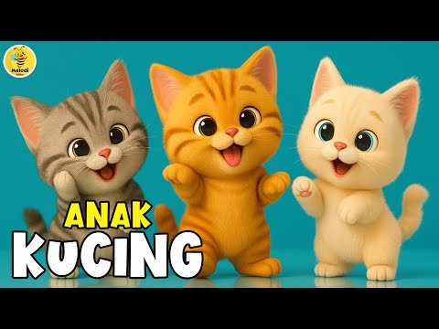Lagu Anak Anak - ANAK KUCING MEONG MEONG, Sayang Semuanya - Kompilasi Lagu Anak & Balita Terbaru