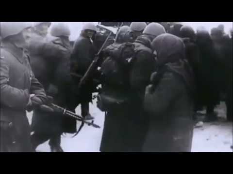 Waldemar Matuška- Cesty