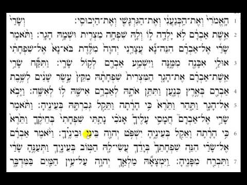 Torah Reading - Genesis Chapter 16 (HD)