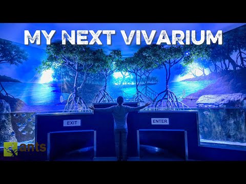 Addressing My Next Giant Vivarium - Tour of the Marassi AQUARIUM ZOO (Bahrain)