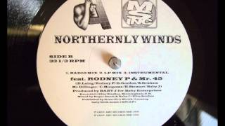MSI & Asylum - Northernly Winds (Ft. Rodney P & Mr. 45)