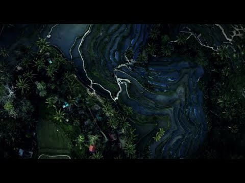 Melodic House Mix 2023 Vol.1 (Kream, Kasablanca, John Summit)