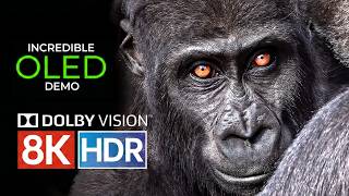 8K REAL HDR - Breathtaking Landscapes & Wild Animals 12K TEST 4K HDR VIDEO ULTRA HD