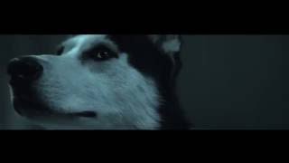 Videoklip: Pil C - Deň za dňom (ft. Laris Diam) s textom piesne Videoklip Pil C - Deň za dňom (ft. Laris Diam) s textom piesne