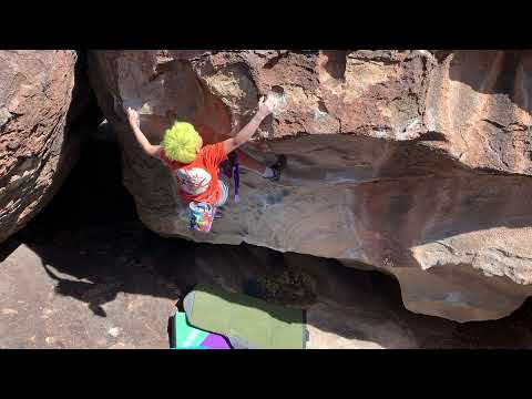 Uncut Yogi Sit V7 (1/3/2022)