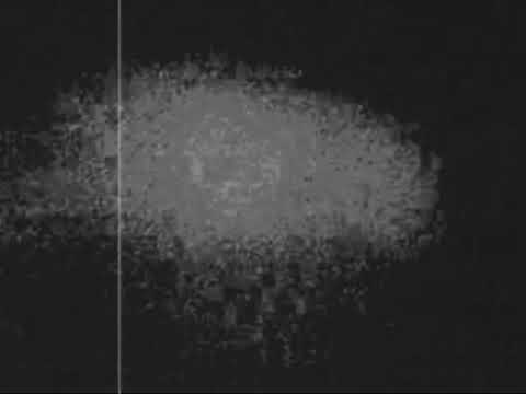 Holomráz - Holomráz