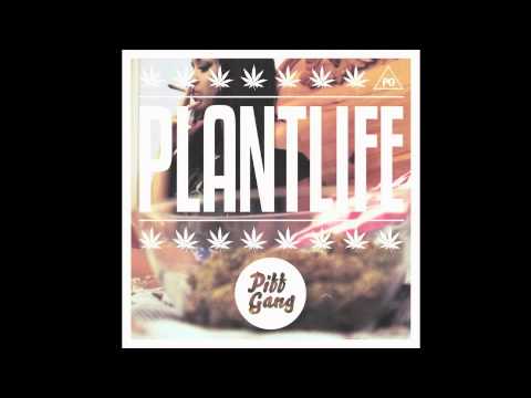 Piff Gang - Swag City
