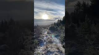 Download lagu Very nice very cool #guitar #guitarsolo #slashsolo #slash #gunsnroses #snow #november mp3