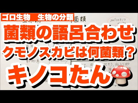 接合菌門 - 定義