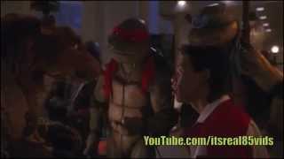 Nigga Turtles 1-9 spoof