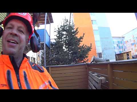 Leivän perässä mualimalla