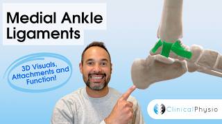 Deltoid Ligament Explained | Medial Ankle Anatomy for Physiotherapists