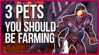 3 Easy Pets You Should Be Farming | (WoW Gold Guide)