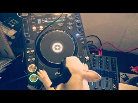 Play for Fun! Episode 5- Groove - Tech and Techno.