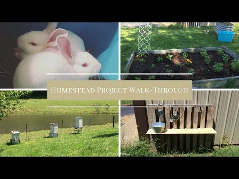 Homestead Project Walk Through