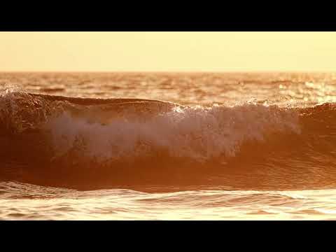 Catch me (If you can) - Slin Project x Christopher S x René de la Moné (Official Video)