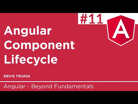 11. Angular Component Lifecycle