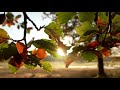 Vedham Pudhithu Bgm Devendran