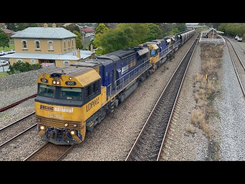 Pacific National LDP002, LDP001 & LDP005 at East Maitland - 1/8/24