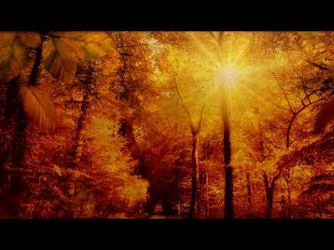 Sestre Mavrovske   Dafina bolna legnala