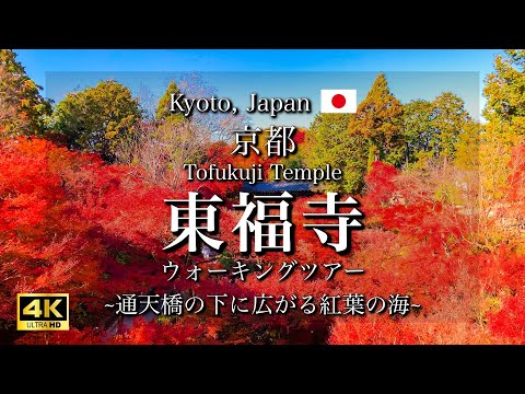 Autumn Leaves at Tofukuji Temple in Kyoto, Japan | Peak Season Views and Tsutenkyo Bridge [4K]